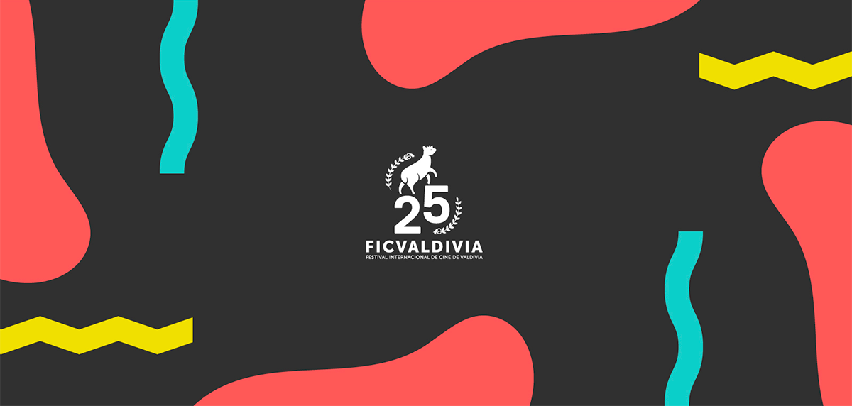 Entrevista a Verónica Lyon, coordinadora general del FICValdivia 2018