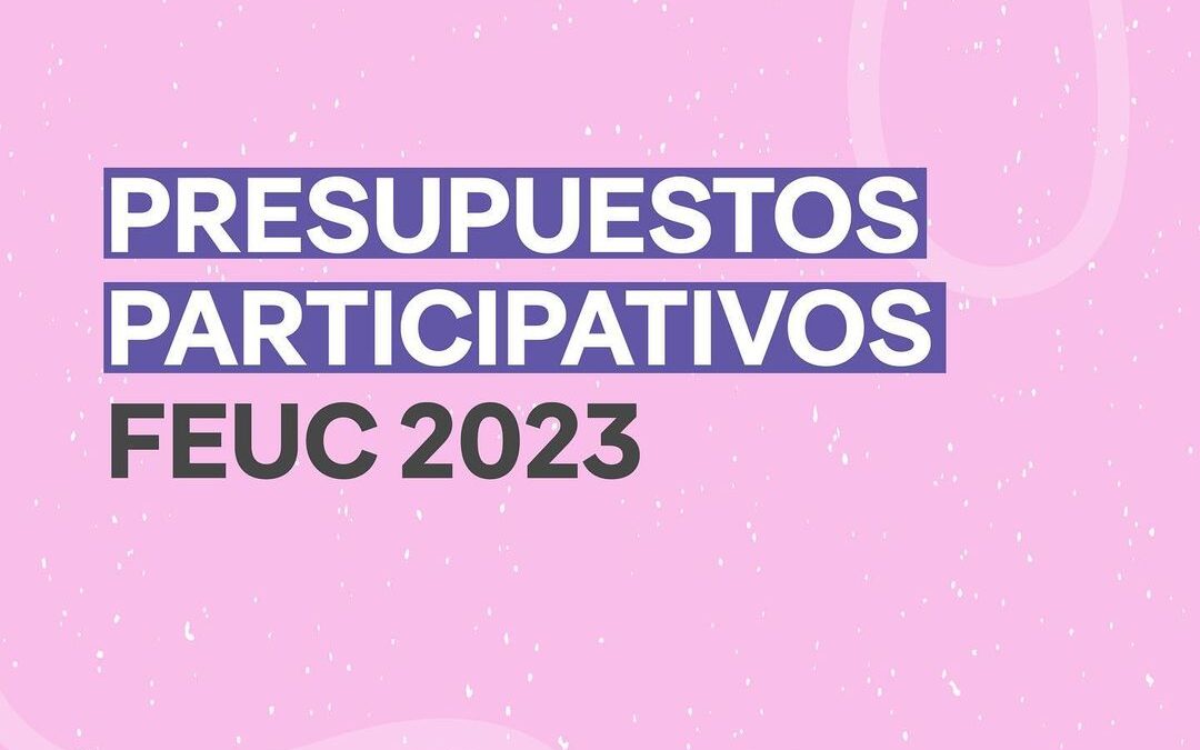Elecciones FEUC 2024: Conoce los proyectos que concursan por el presupuesto participativo