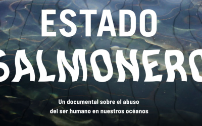 Daniel Casado, director de «Estado Salmonero»: «La industria ha hecho las cosas mal por muchos años»